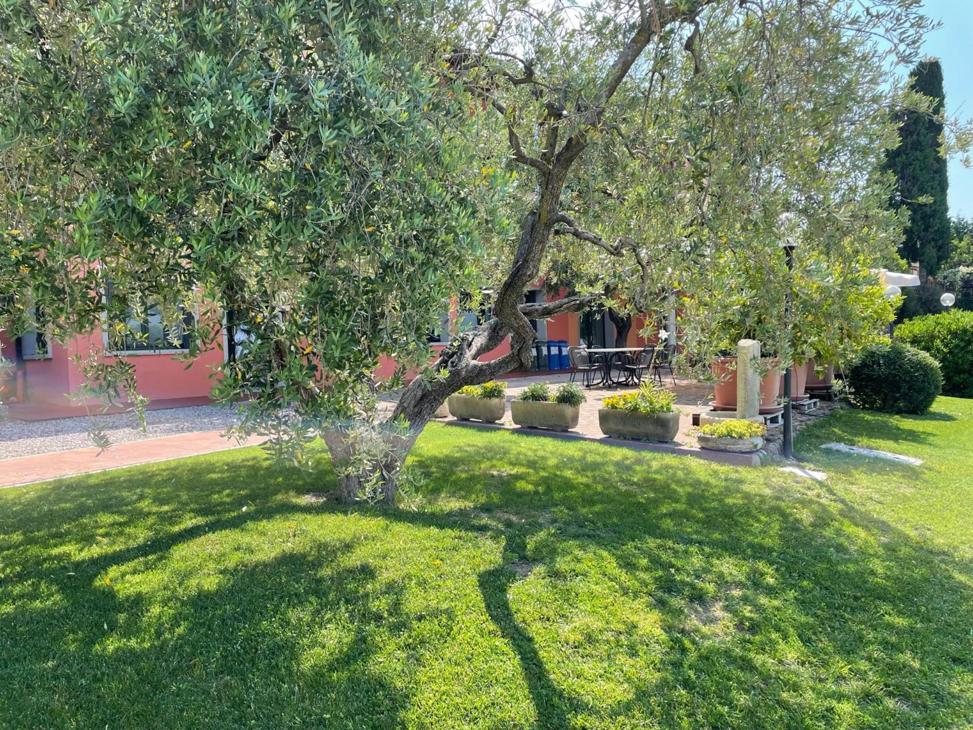 Villa Al Colle Cavaion Veronese Esterno foto